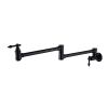 Wall-Mounted Potfiller modern 360-degree rotating kitchen faucet in Brushen Gold